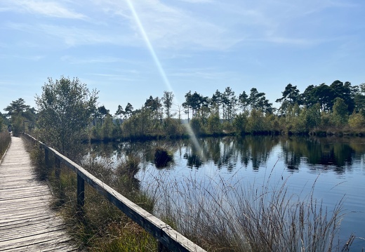 23-09-11 13-37-33 6694